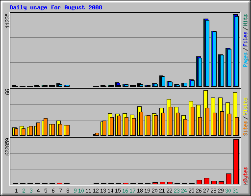 Daily usage for August 2008